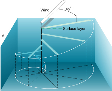 Ekman spiral, from http://oceanmotion.org/html/background/ocean-in-motion.htm